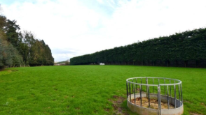 Development Opportunity in  Market Drayton photo